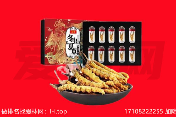 拉萨市林周回收虫草.jpg